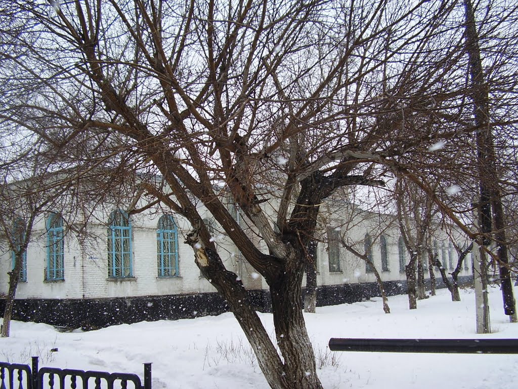 весенний снег