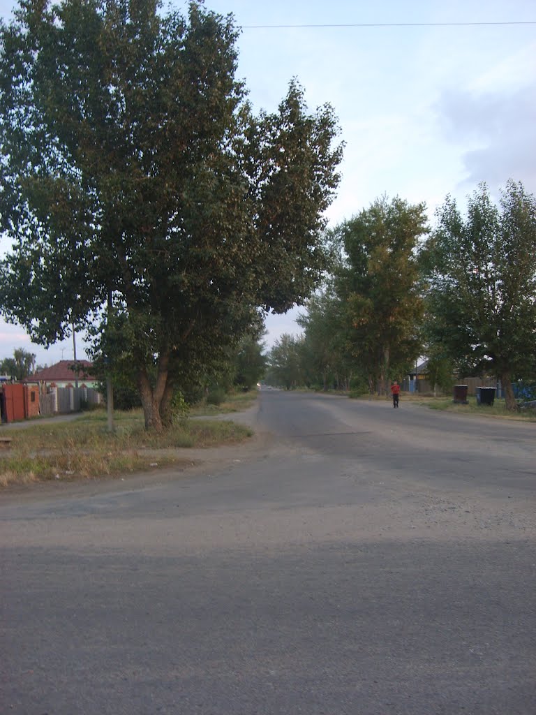 Ул. Тимирязева
