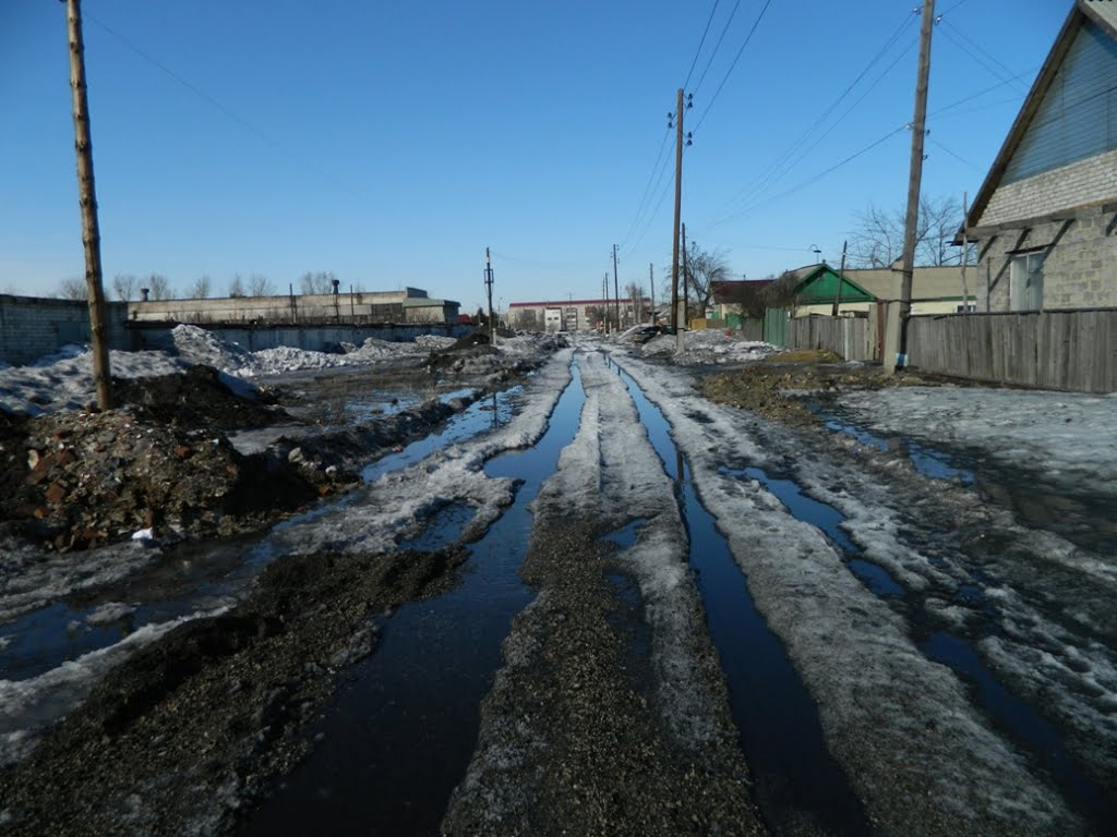 подснежники