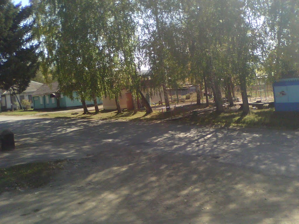 В Центре