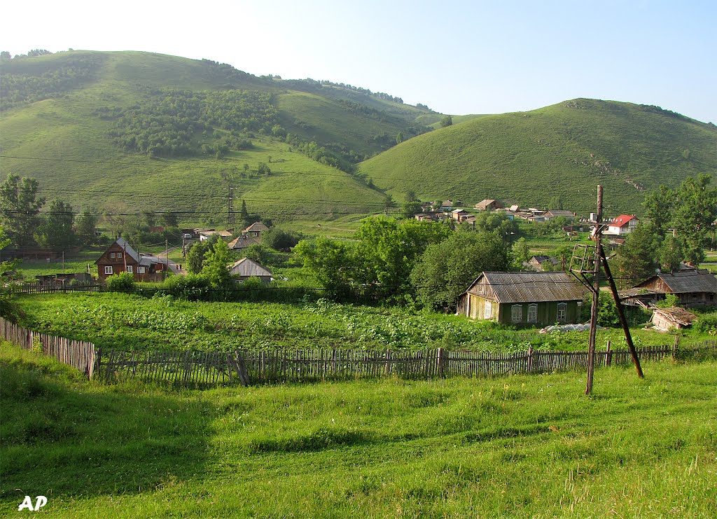 Солонешное, Алтайский край