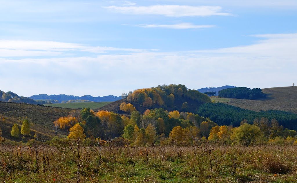 Солонешенская осень.