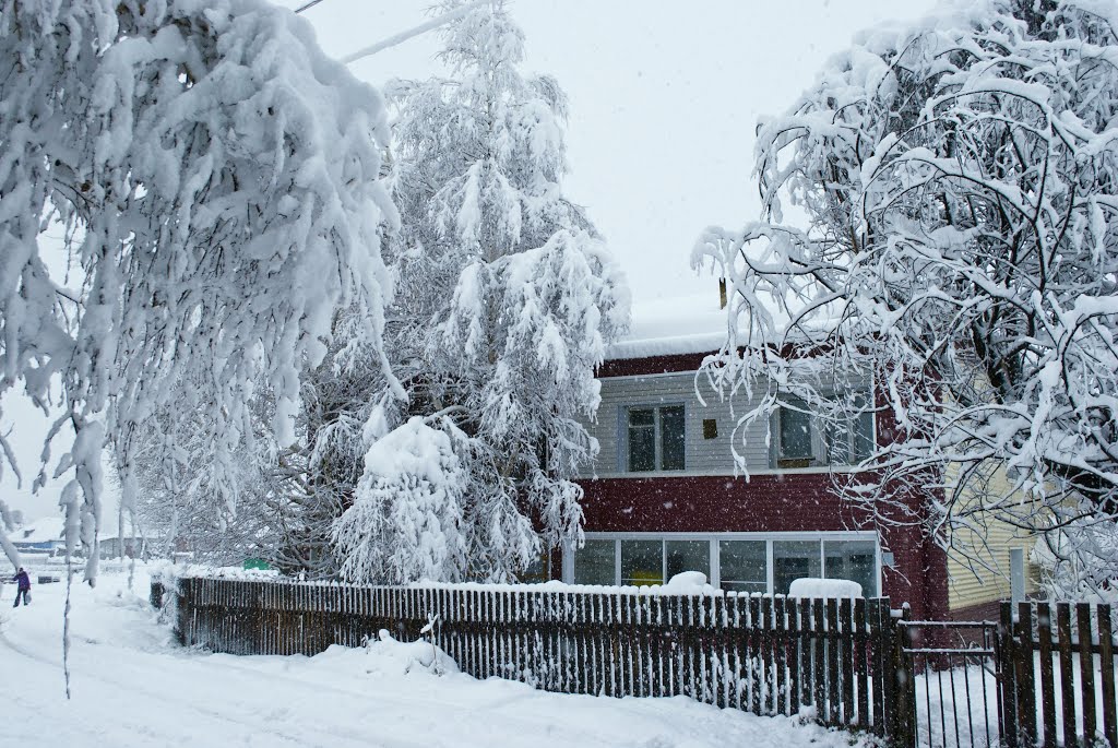 Первый снег. 24 октября 2012 года.