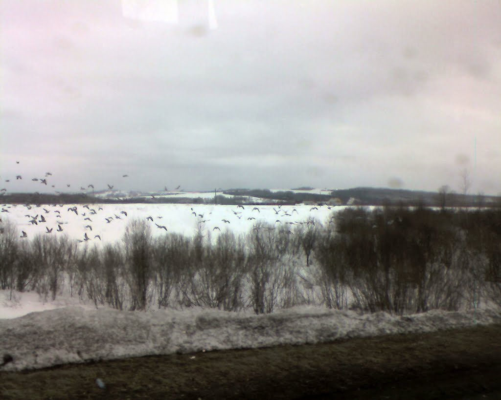Solton
