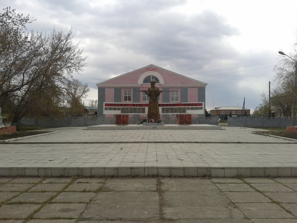 Село Староалейское  площадь