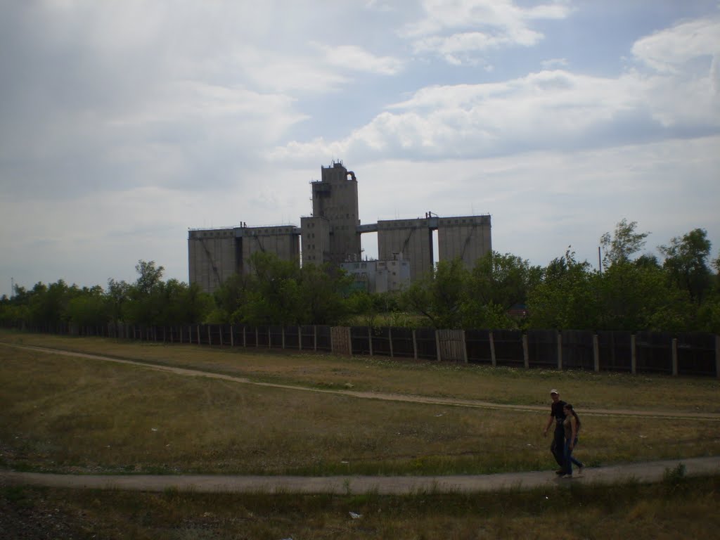 Табуны.