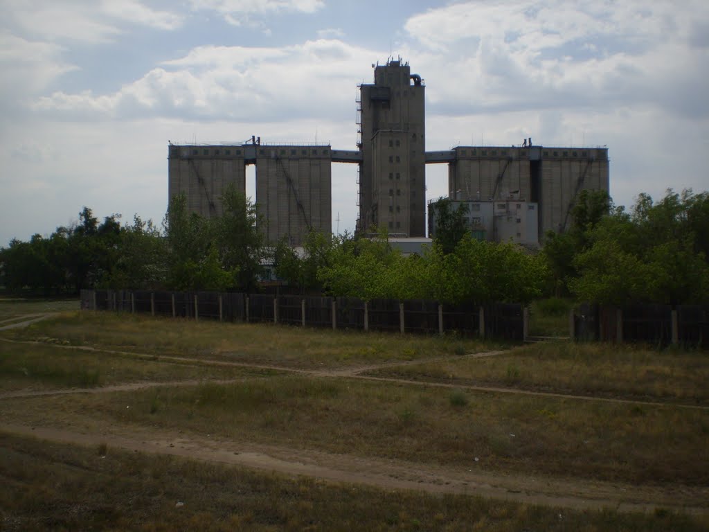 Табуны.