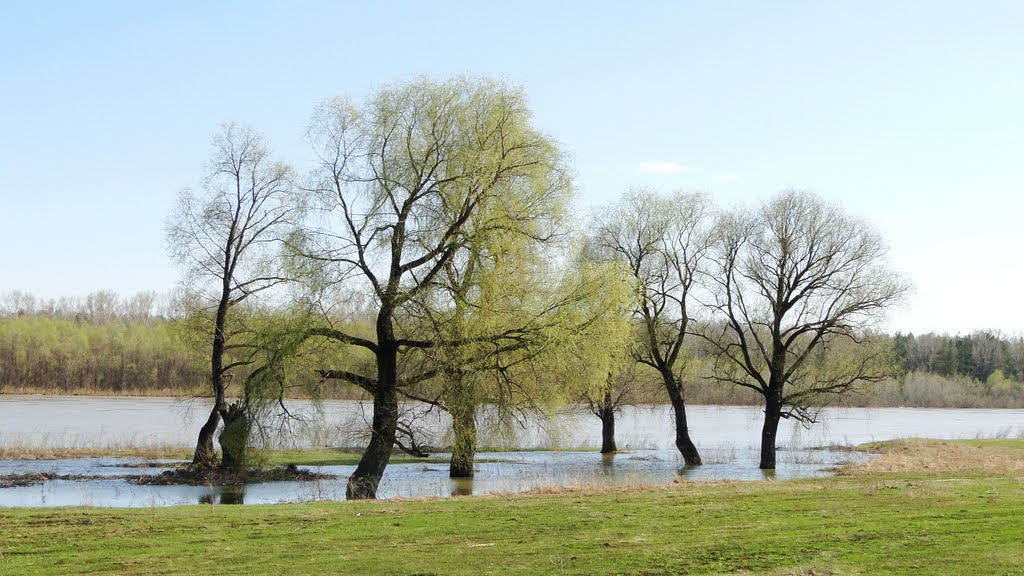 Spring flood