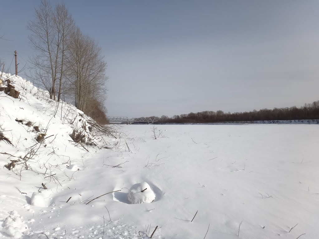 Чумыш