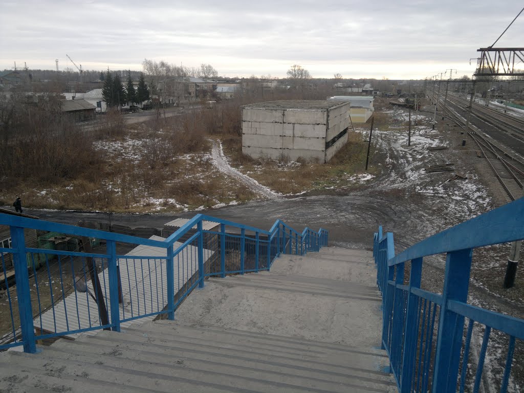 Тальменка01