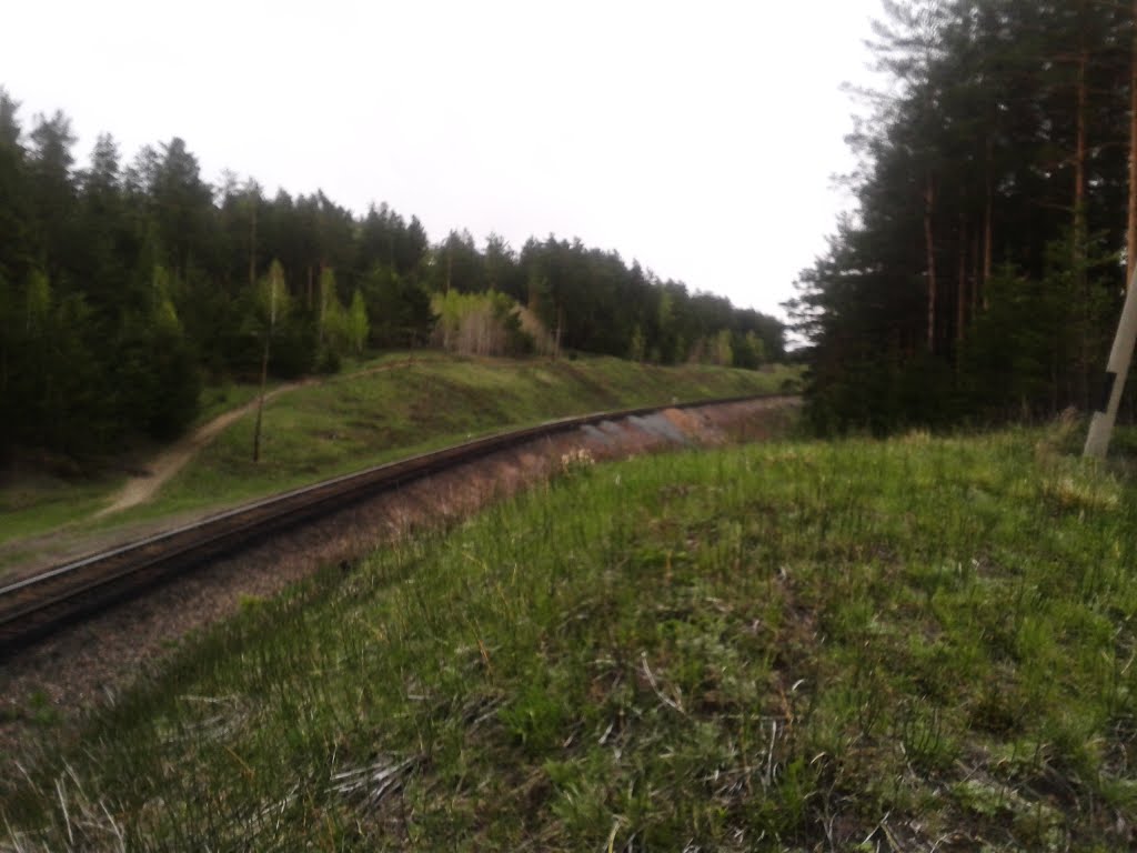 Железная дорога