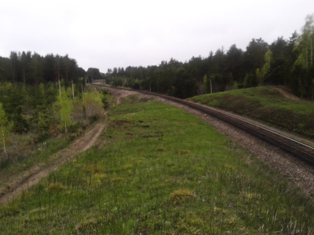 Железная дорога