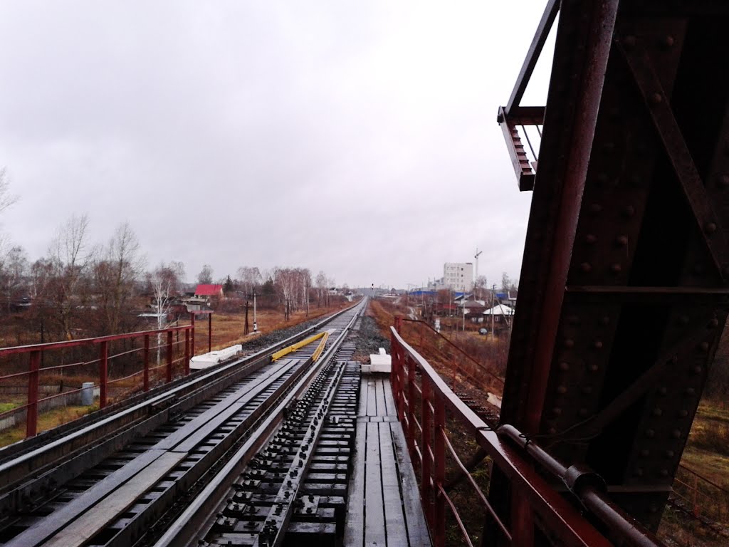 Большереченский Ж/Д мост
