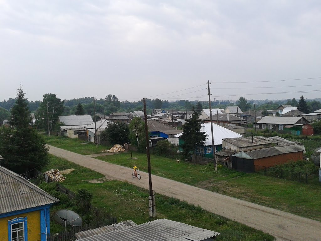 Бреющий полет