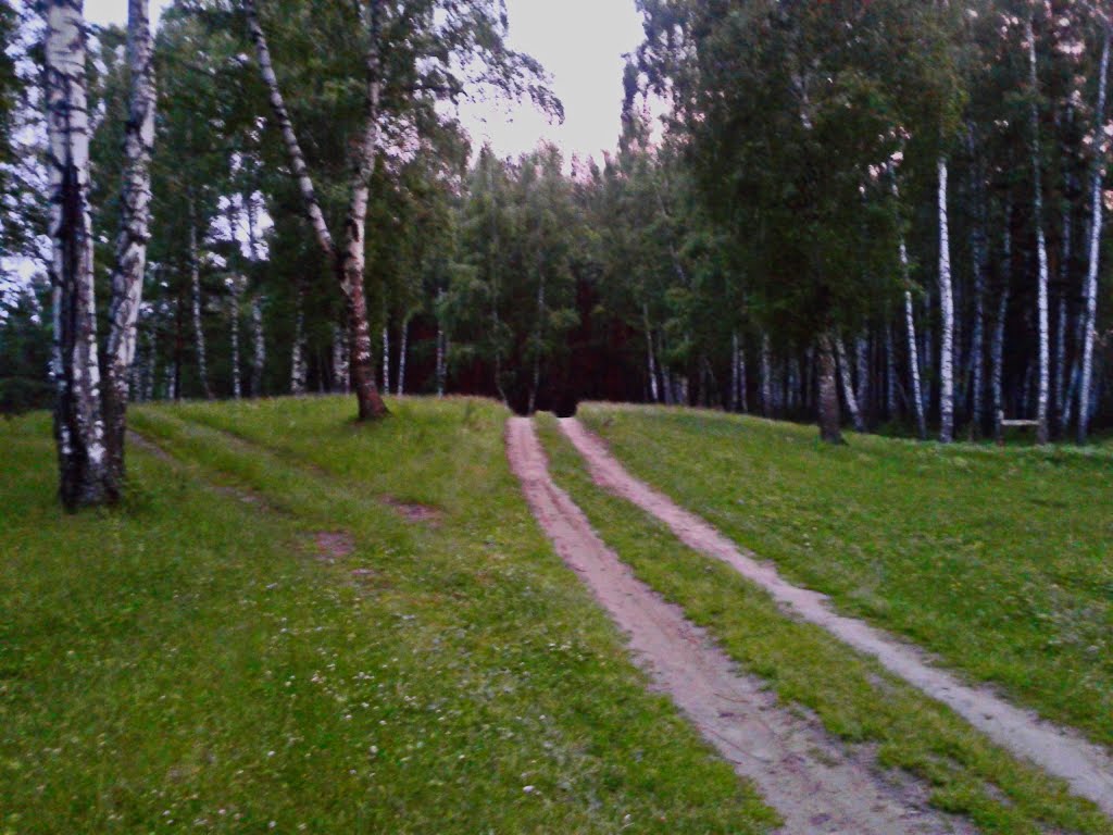 На лыжную базу