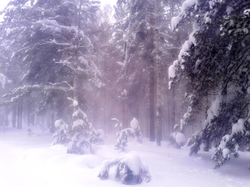 На лыжной трассе