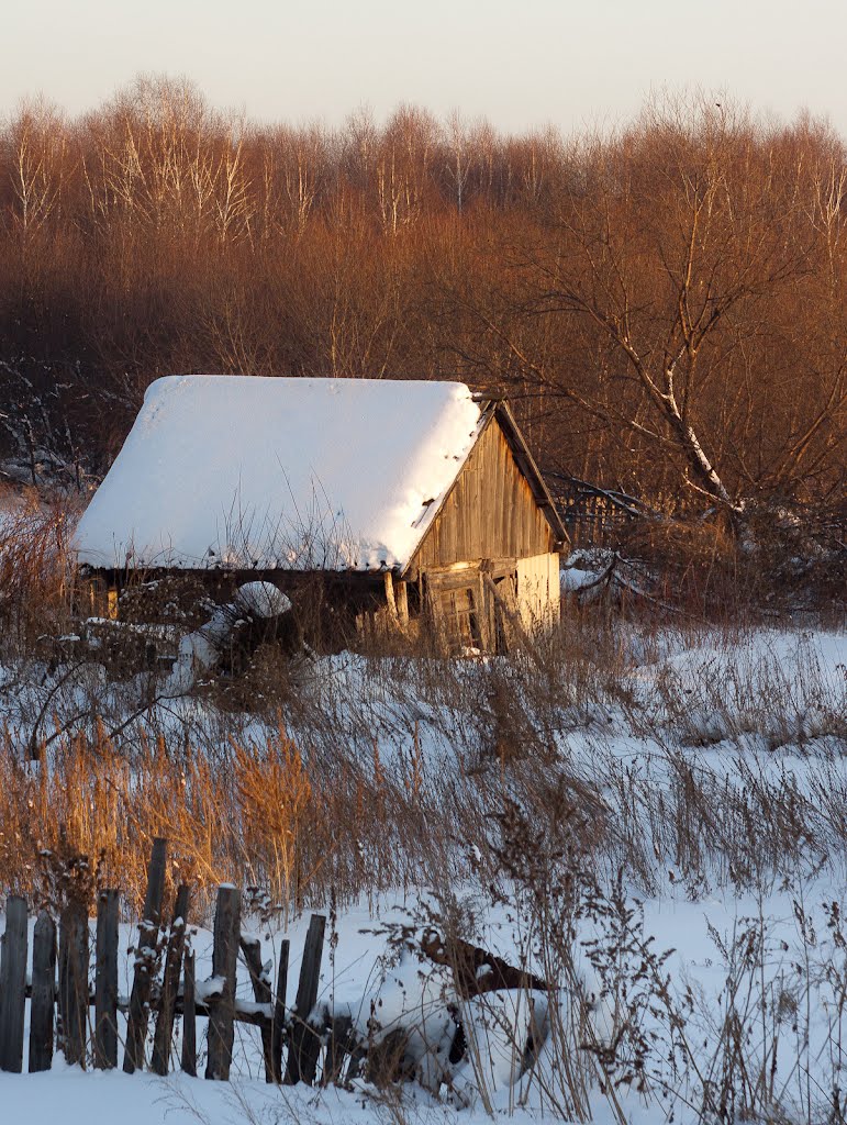 Abandoned house and a tree