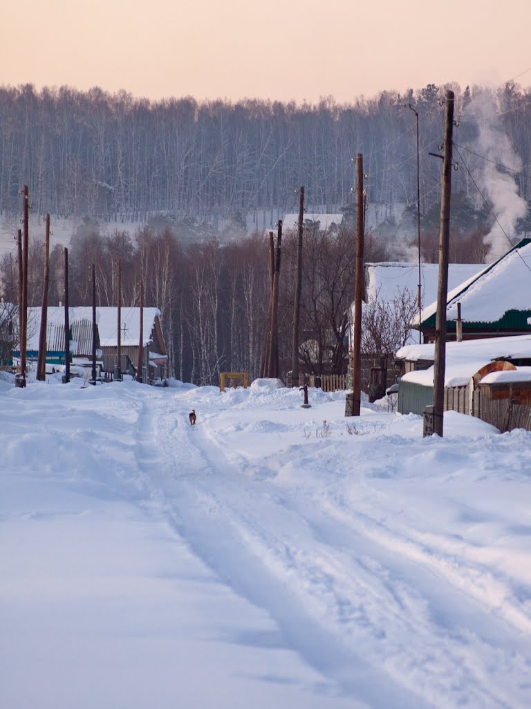 Winter evening
