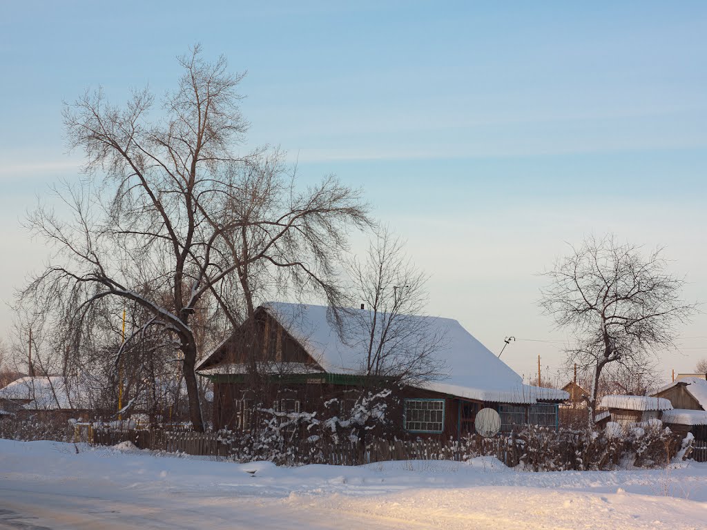 Home in the village
