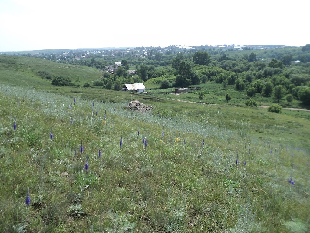 Вид Целинного с холмов