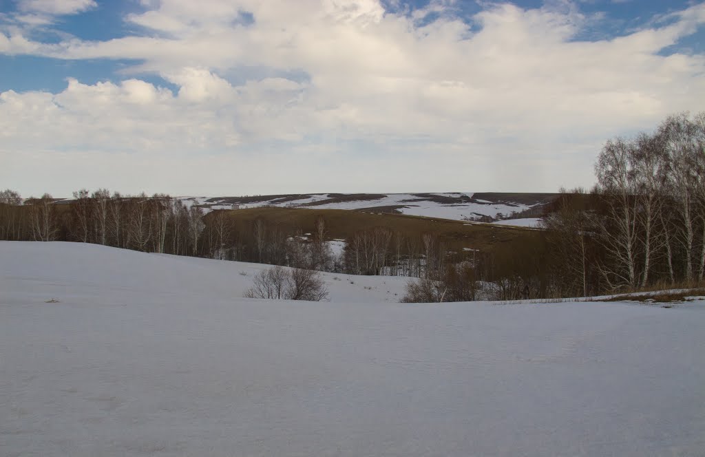 Алтайский край. Бийский район.