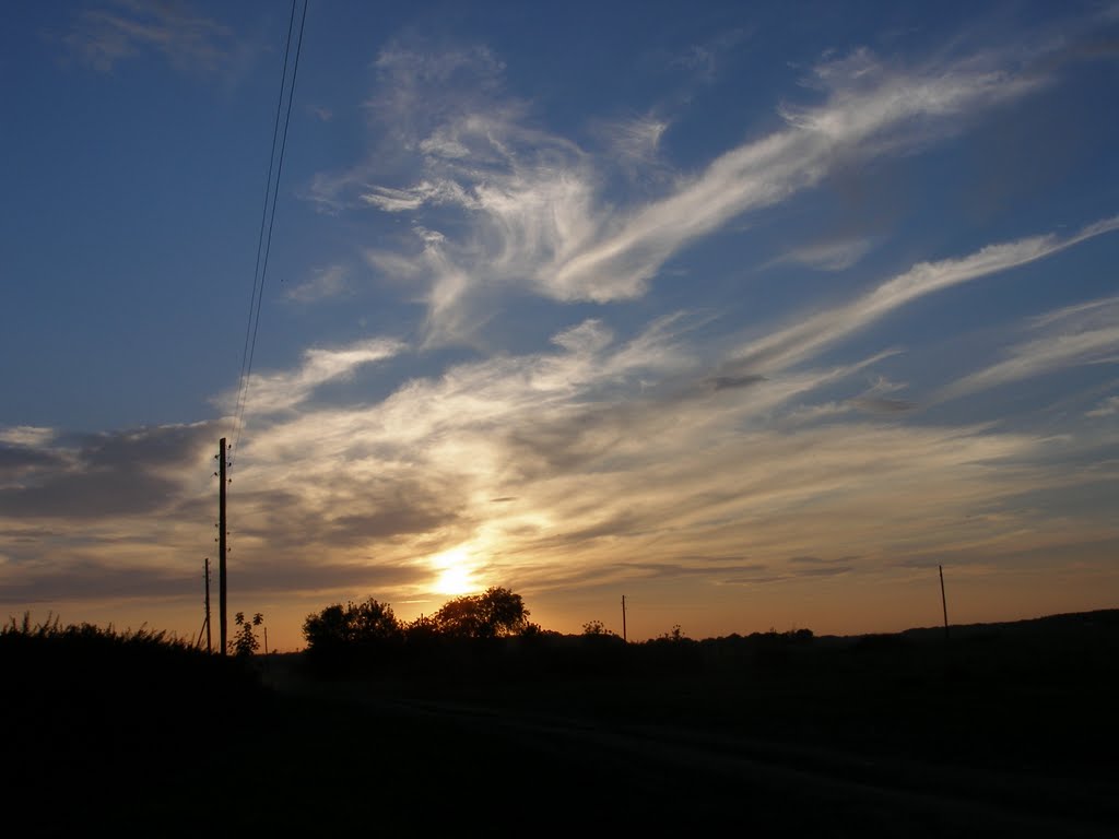 Its all about the sun...