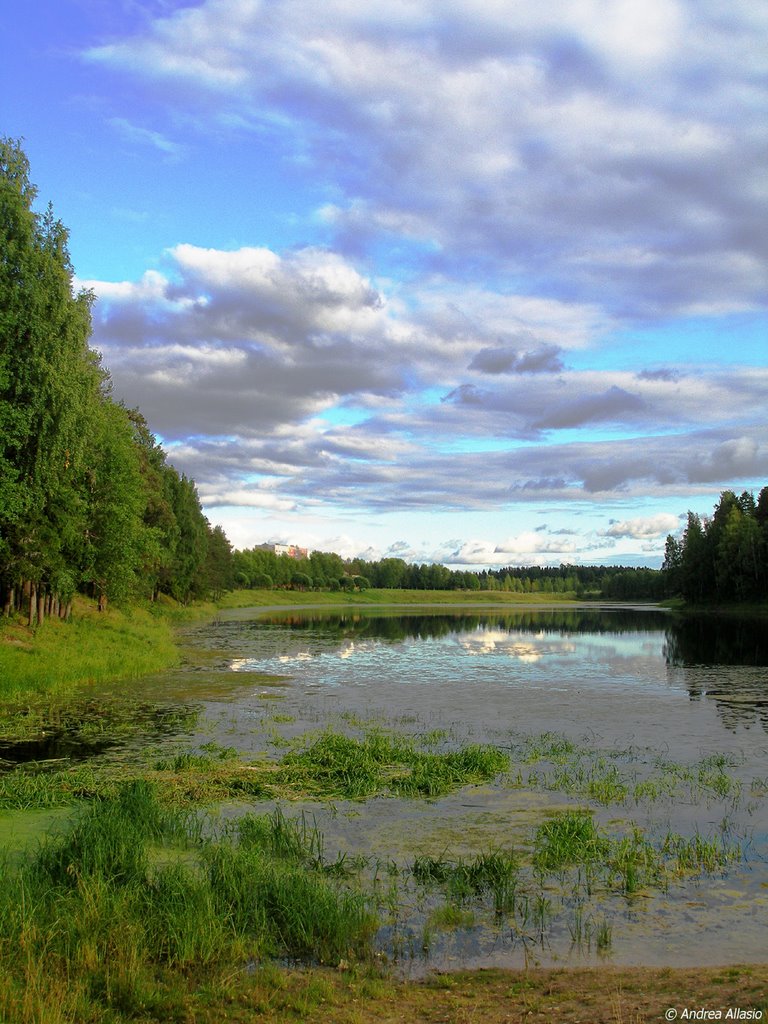 Reflections on Mirny lake