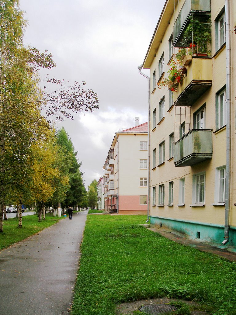 Lenin street, Mirny