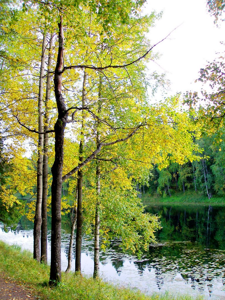 Autumn on Mirny lake