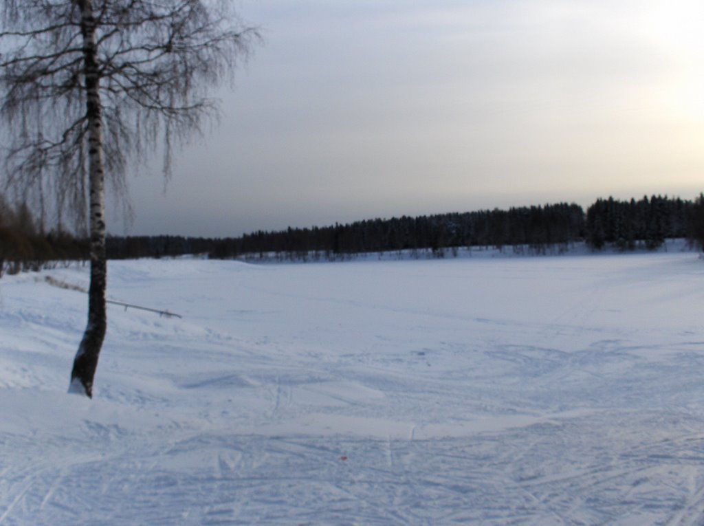 MIRNYY - THE WINTER LAKE VIEW
