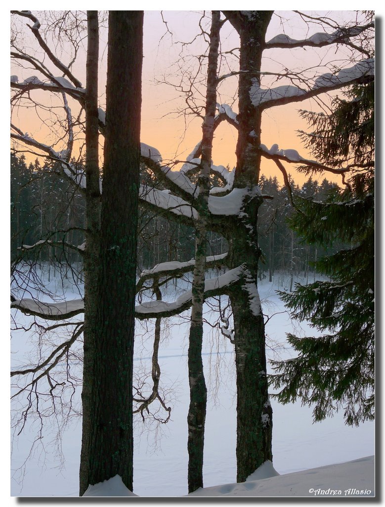 Tramonto invernale su lago, Mirnyy