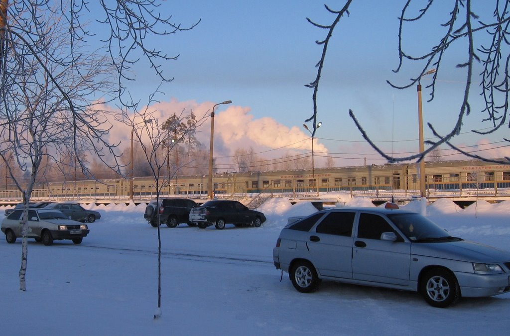 Гродская
