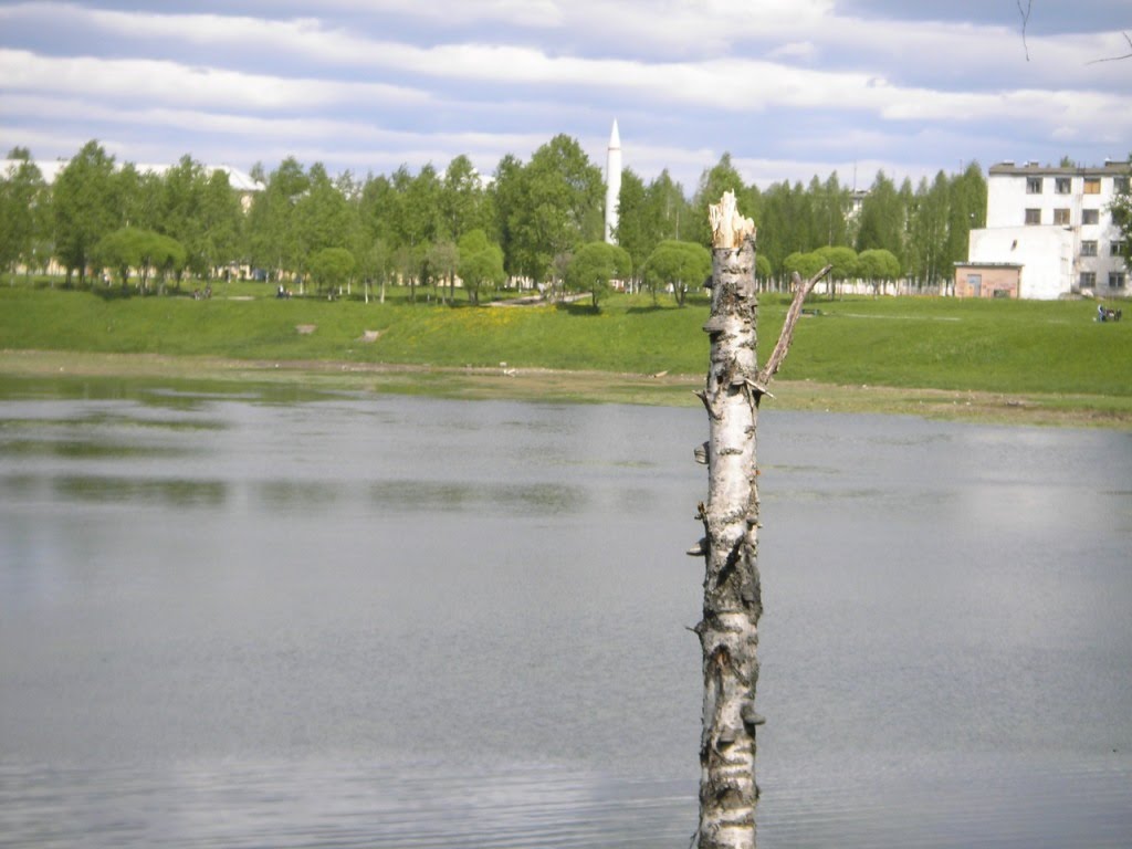 Мирный
