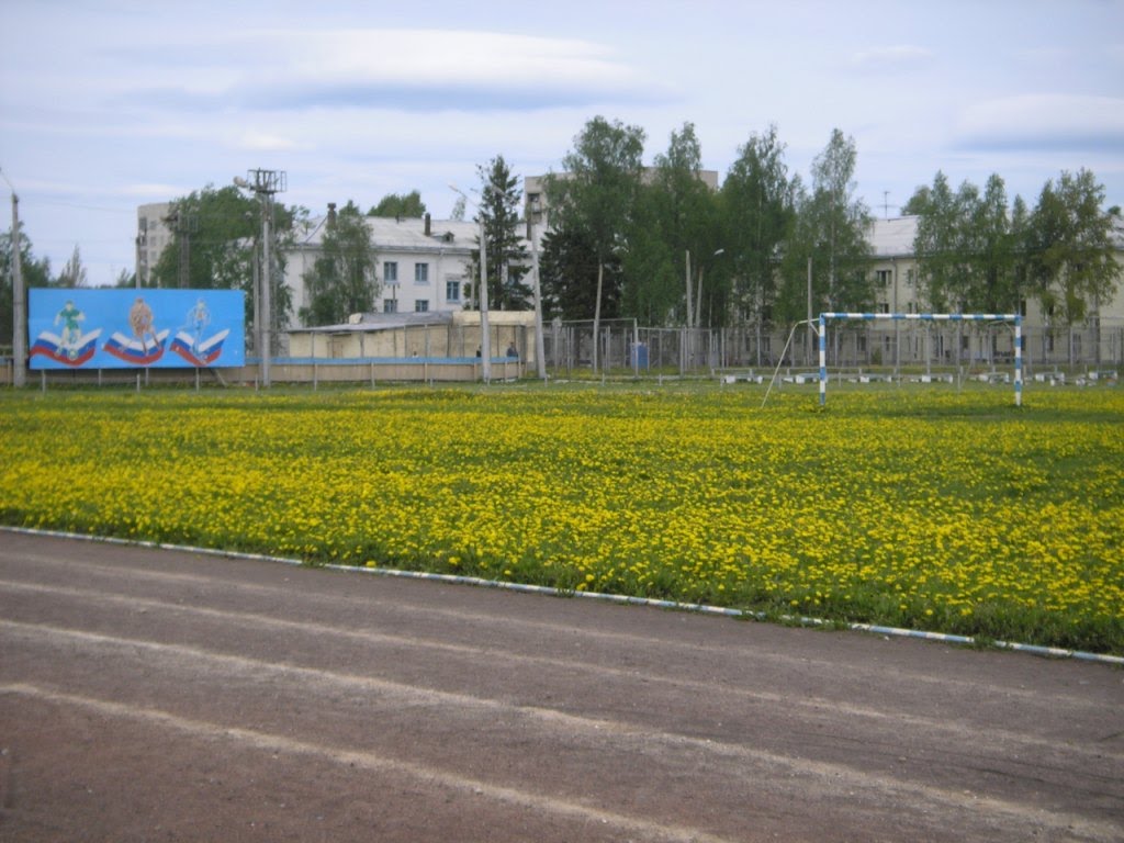 Мирный