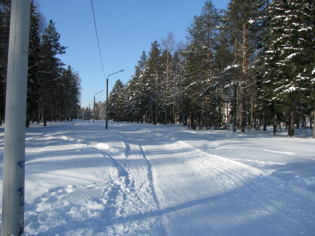 Мирный