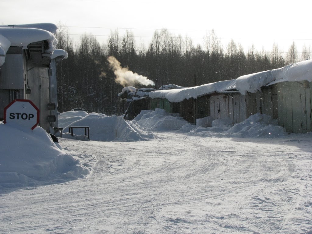 Мирный
