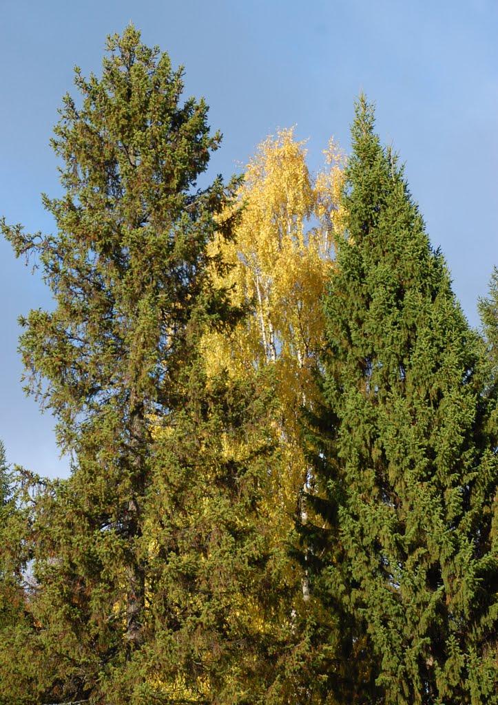 Mirnyi