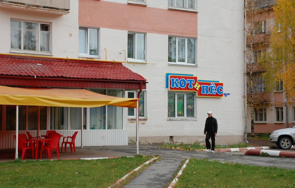 Mirnyi