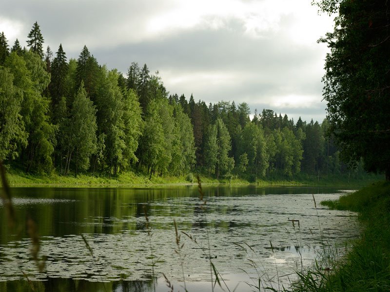 Ozero