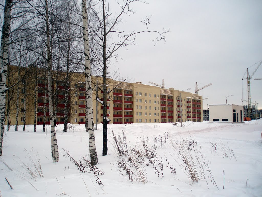 новостройка