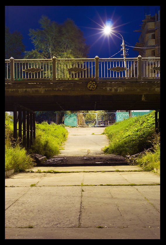 Night