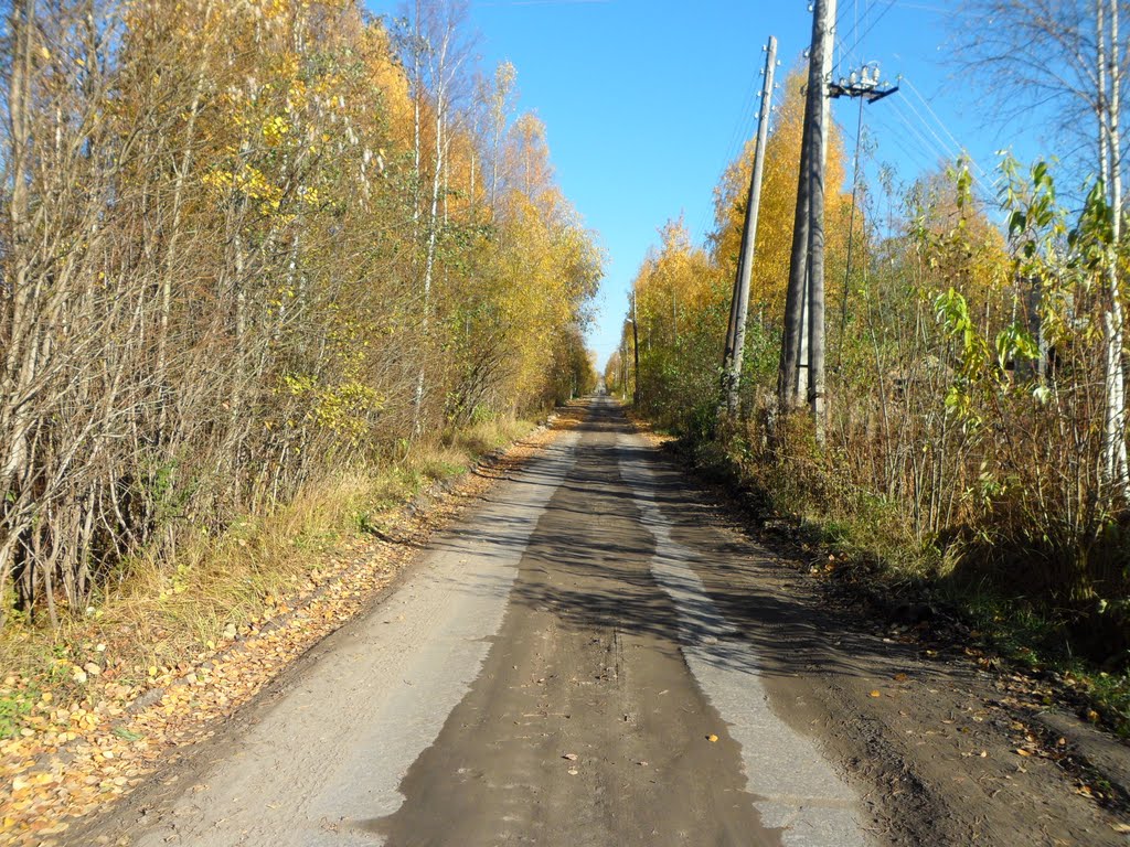 Бетонка