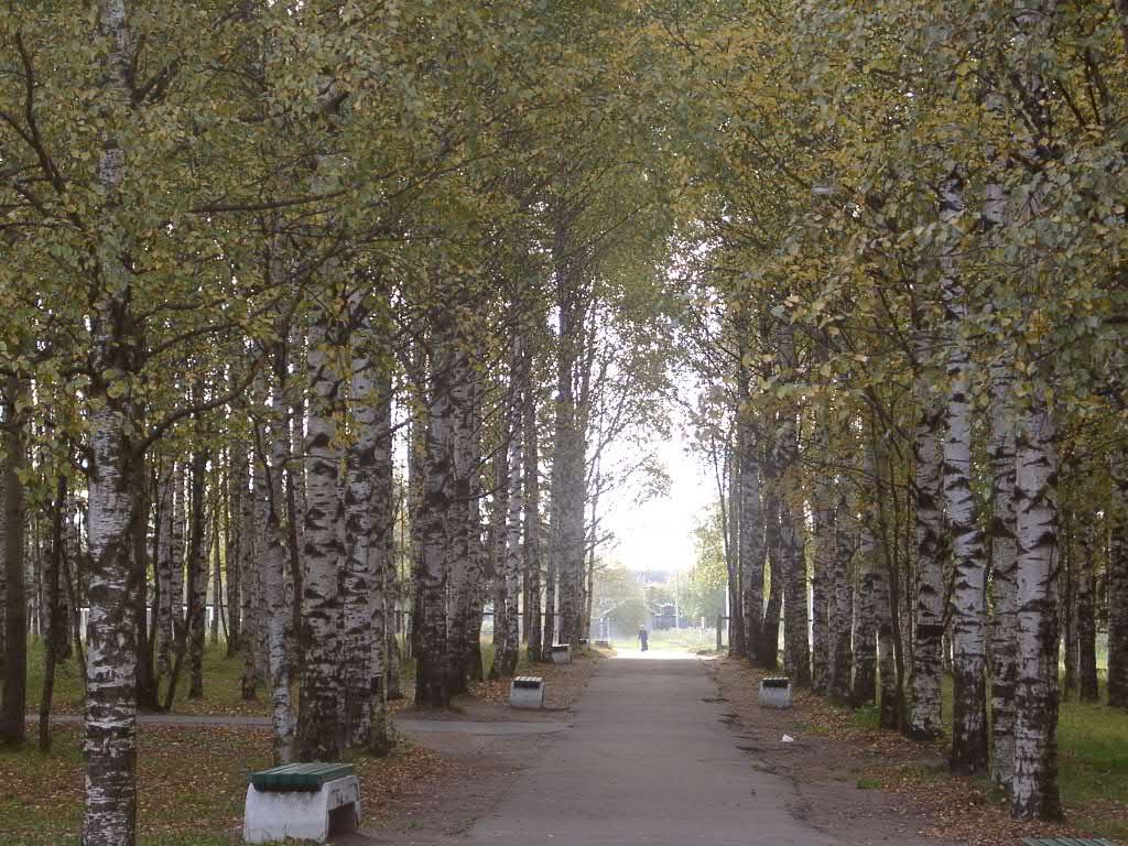 Парк (п.Березник)
