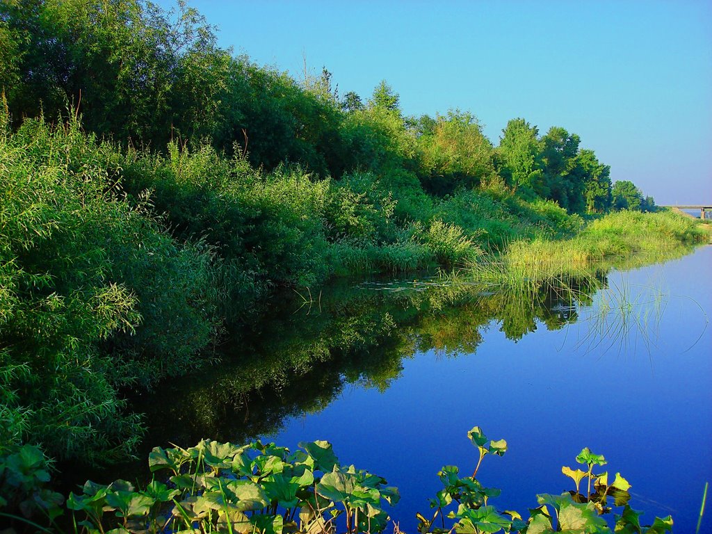 Река Вель