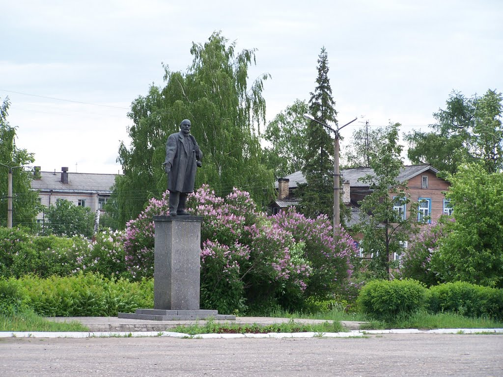 Вельск, площадь Ленина, Velsk, Lenin square