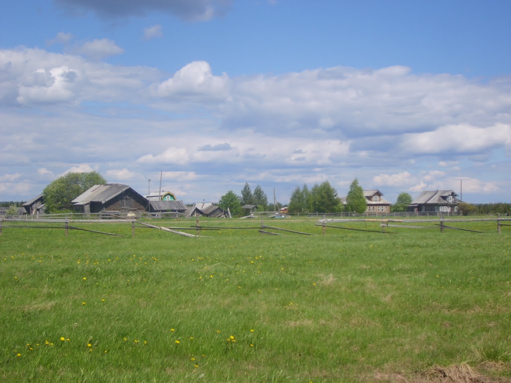 Houses