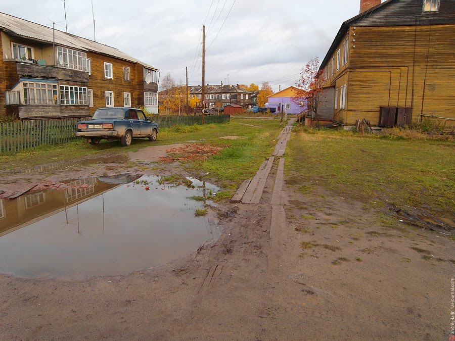 В. Тойма
