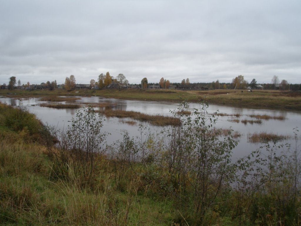 Voloshka
