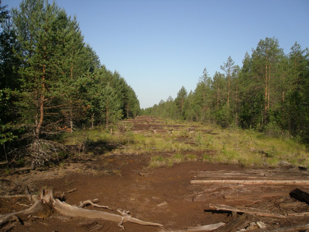 Чёрная  дорога