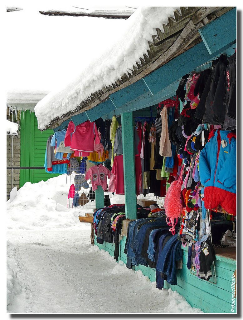 I colori del mercato della stazione di Plesetsk